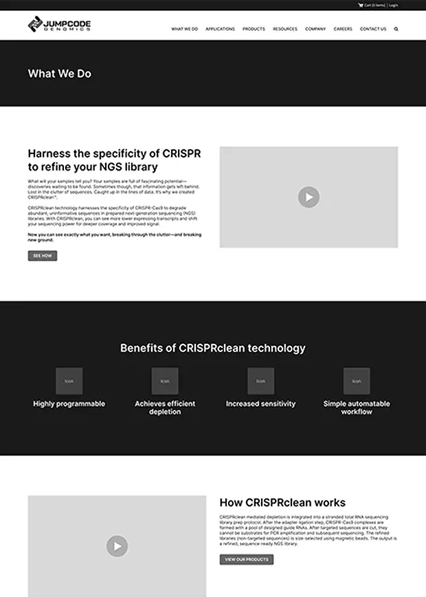 Wireframe Example 1